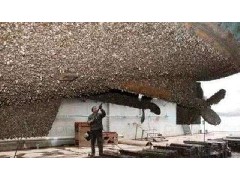 為什么即使巨大航母也需要定期進(jìn)行船底清潔？