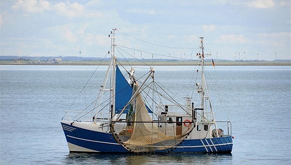 江門漁船建造廠 江門漁船建造廠